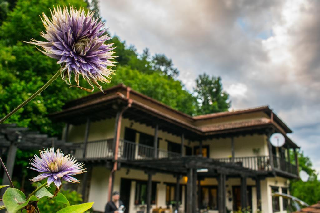 Guest House Verbena Aprilți Exterior foto