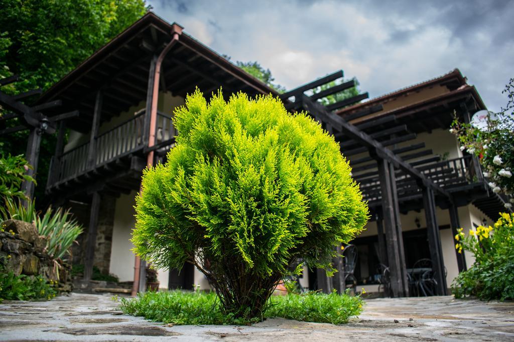 Guest House Verbena Aprilți Exterior foto